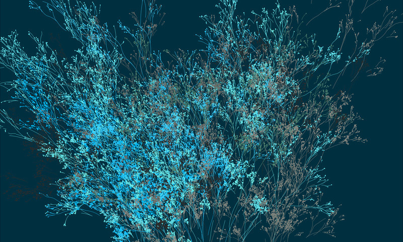 Generative art that looks like a blueish bunch of flowers