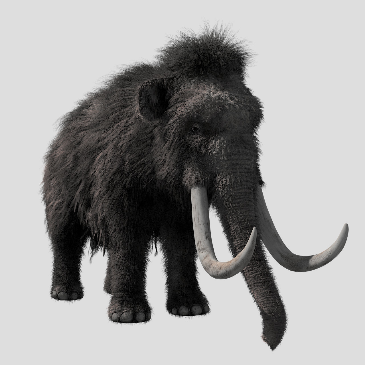 A greyscale image of a mammoth