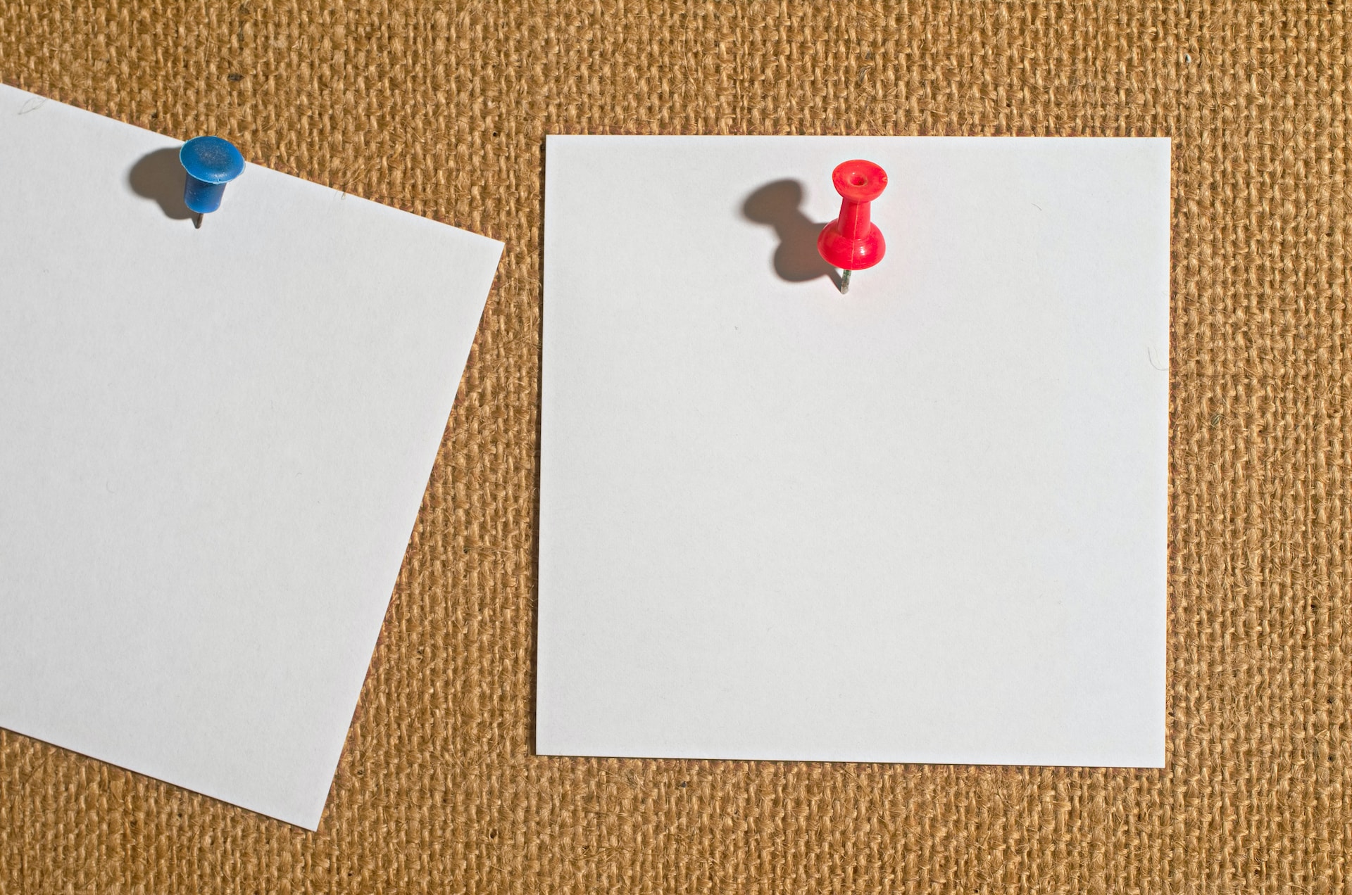 An image showing two pieces of paper pinned to a board