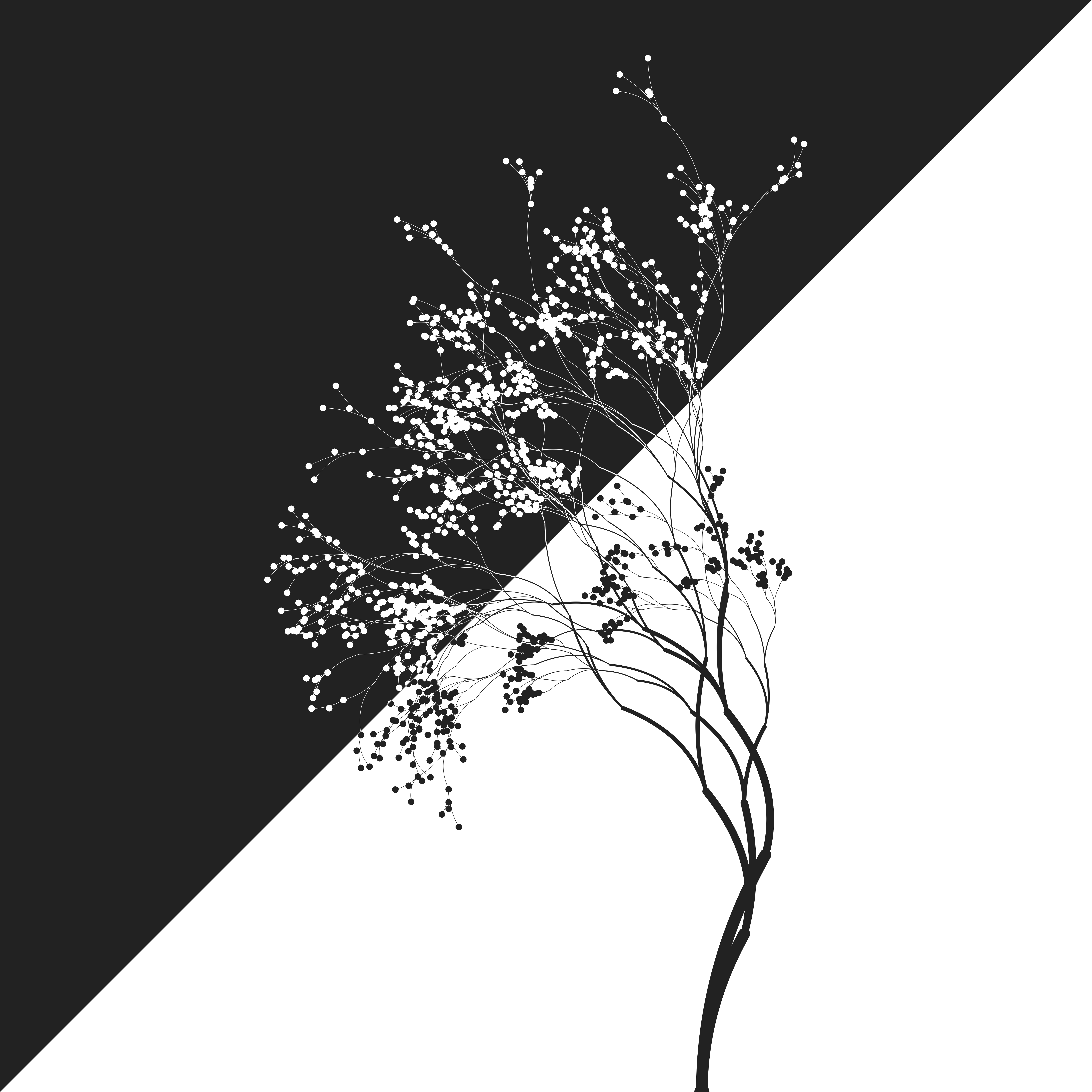 A stylised tree image, white against black background in one half and black on white in the other