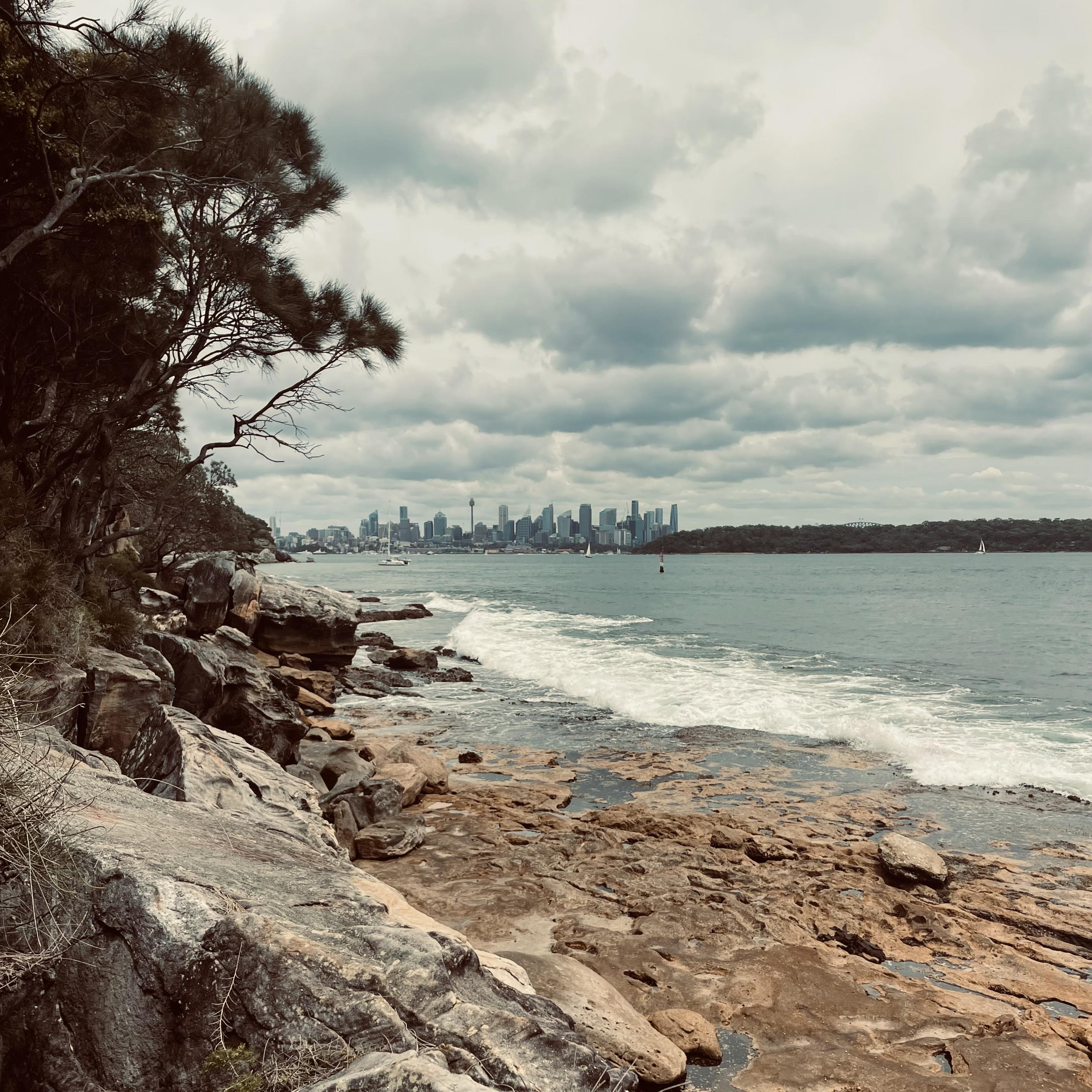 Photograph of Sydney downtown taken from a distant beach
